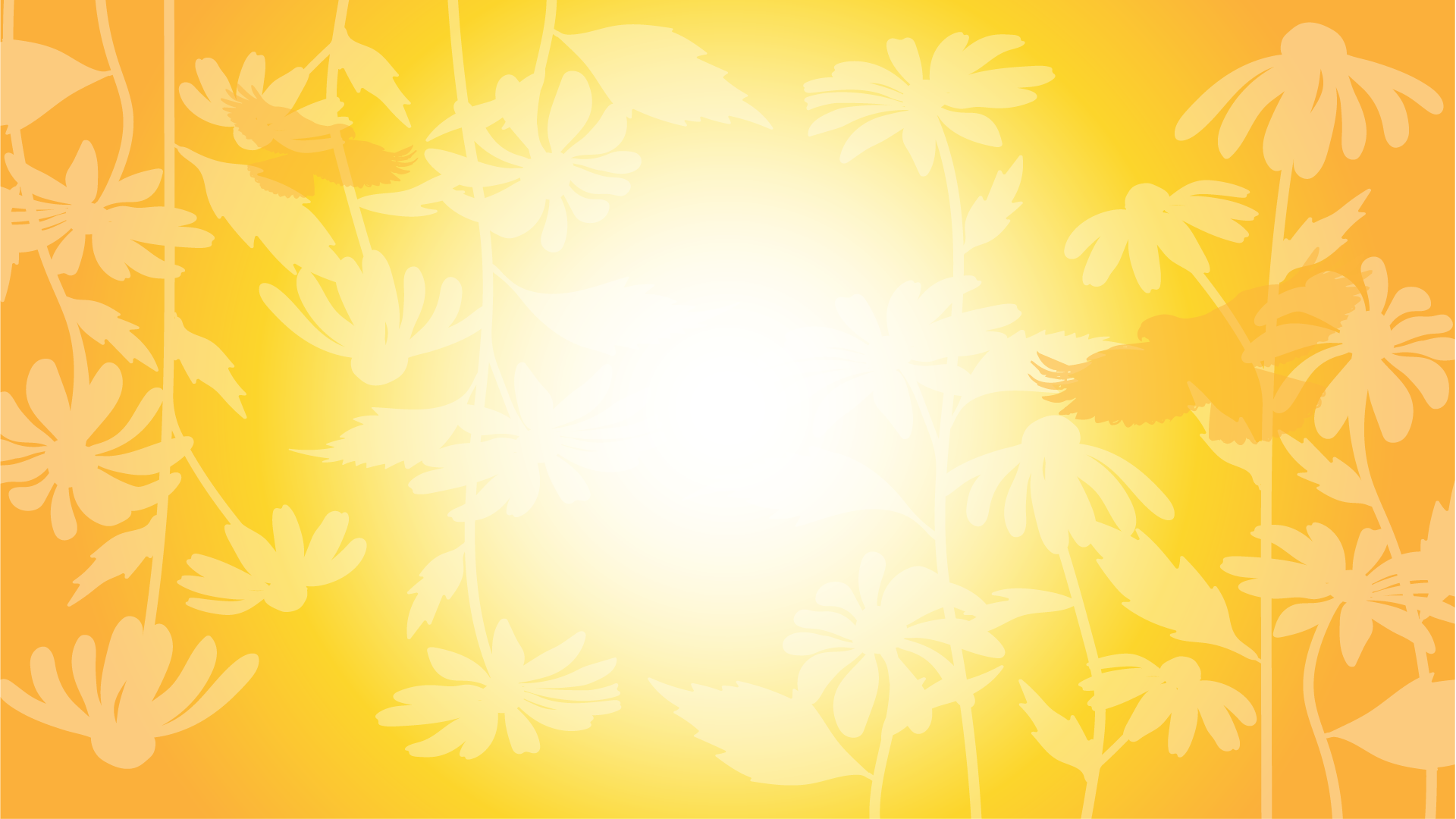 Yellow and orange gradient background with a pattern of birds and black-eyed susan flowers